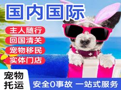 沧源佤山空运地址国际宠物托运 【国